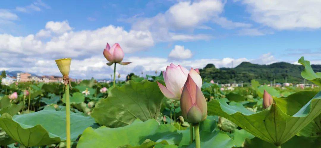 CQ9电子 CQ9传奇电子【大世纪书画院 江湾城文联】走进开江开展文化交流活动(图2)