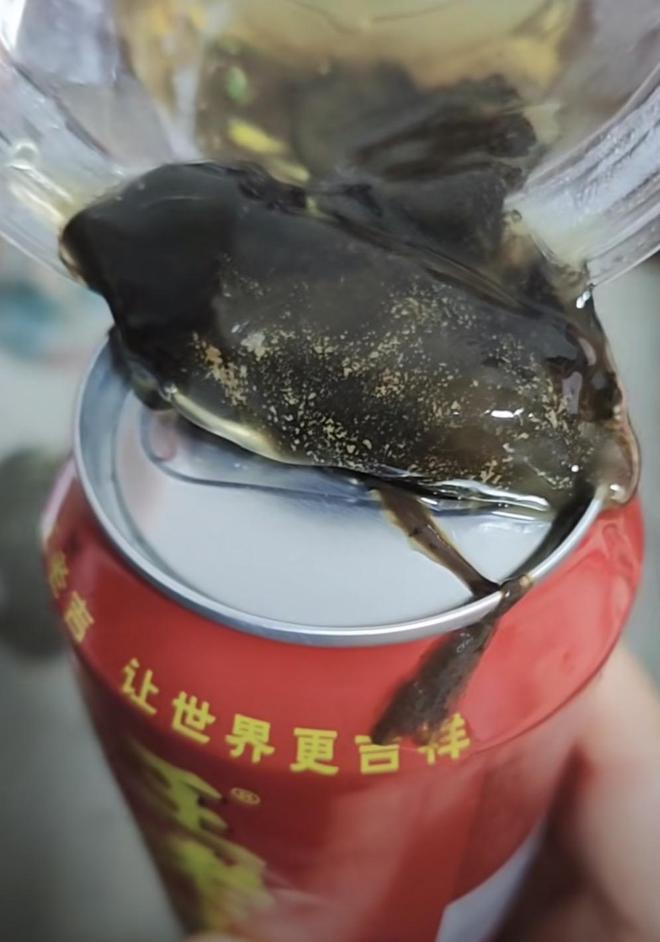 CQ9电子 CQ9传奇电子王老吉里倒出黑褐色果冻状粘稠物？回应：或因运输碰撞导致霉变(图1)