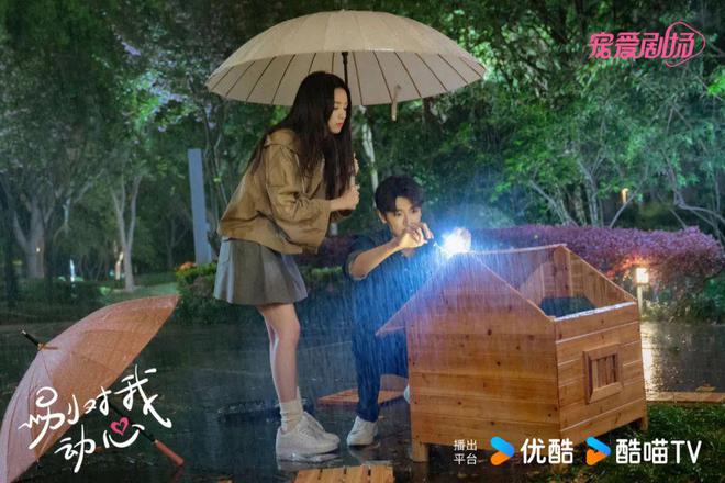解码《别对我动心》的爆款基因拾上影CQ9电子 CQ9传奇电子业何以造就黑马现偶剧？(图6)