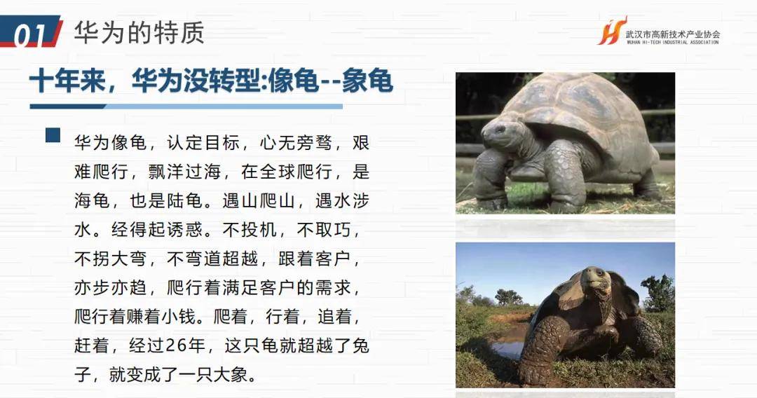 华为文化为何是高绩效文化？协会“助企讲座”第七站走进红星杨CQ9电子 CQ9传奇电子(图7)
