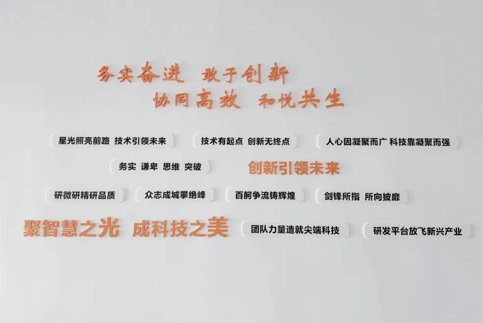 华为文化为何是高绩效文化？协会“助企讲座”第七站走进红星杨CQ9电子 CQ9传奇电子(图20)