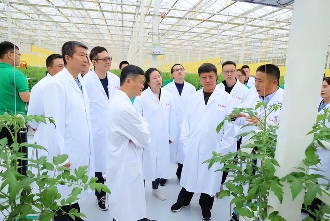 马云新方向不是预制菜！CQ9电子 CQ9传奇电子这些产业正在“秘密”实施(图4)